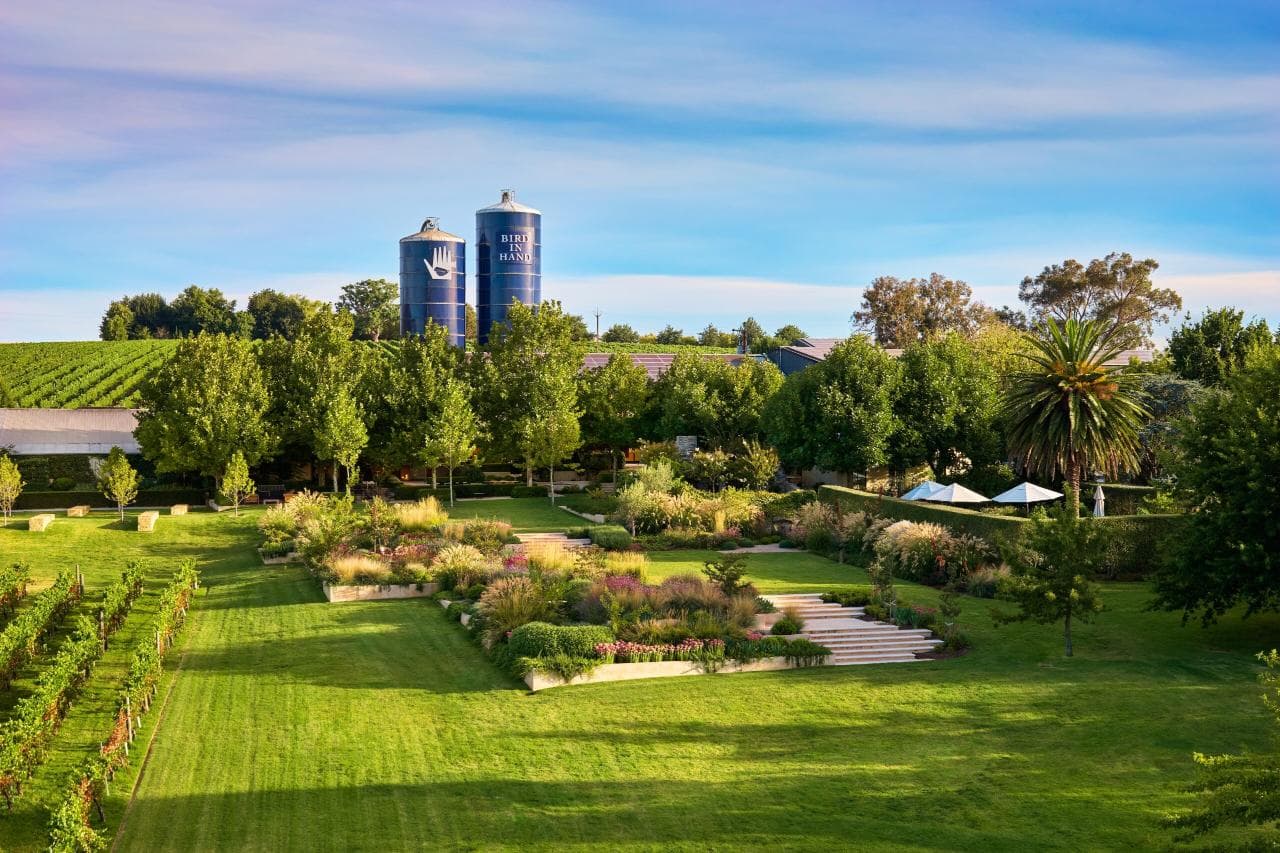 Adelaide Hills – Premium Wine Tastings & Long Lunch Experience 4