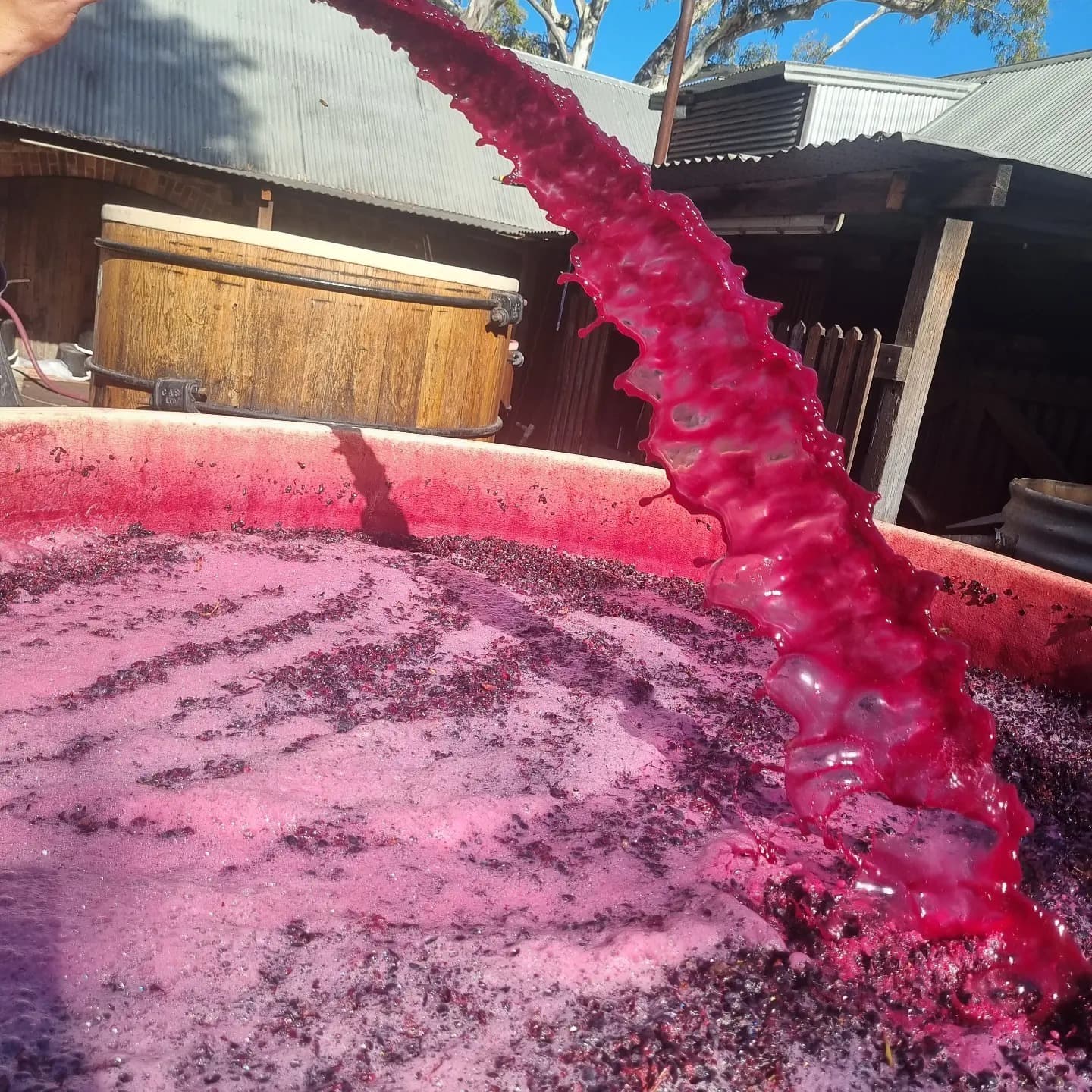 Savor Barossa: Gourmet Lunch & Wine Tasting Tour 2