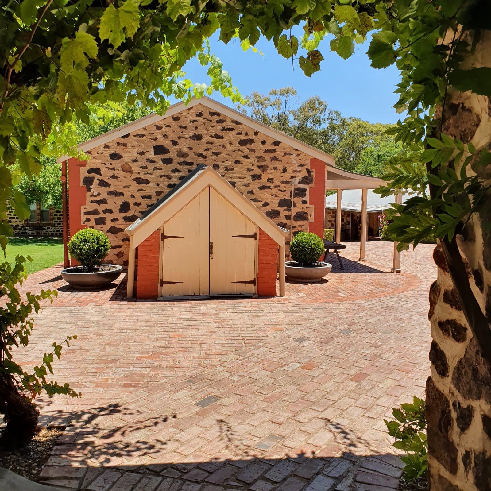 Savor Barossa: Gourmet Lunch & Wine Tasting Tour 5