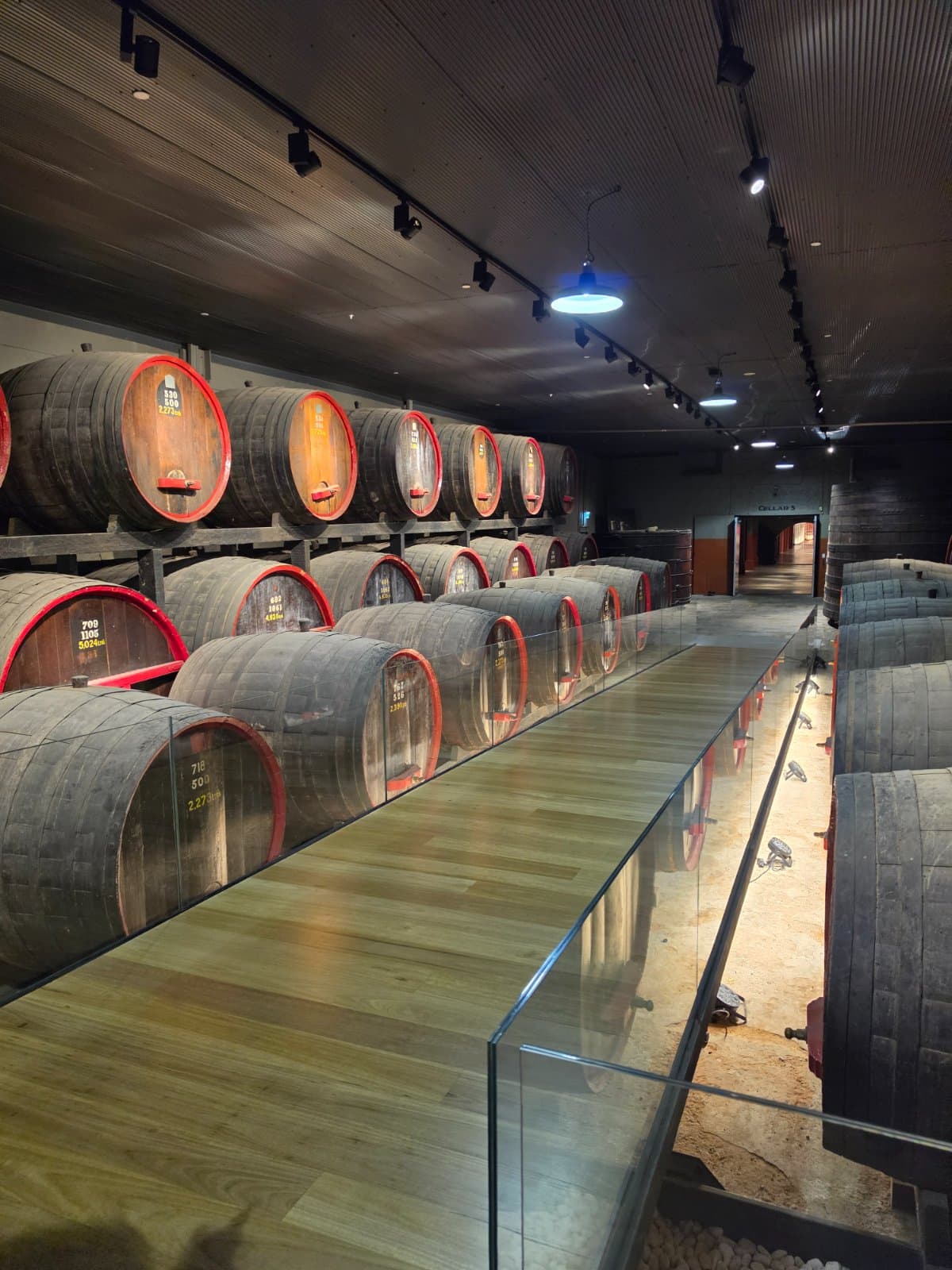 Special Adelaide Wine Trail: Penfolds, Adelaide Hills & Hahndorf 4