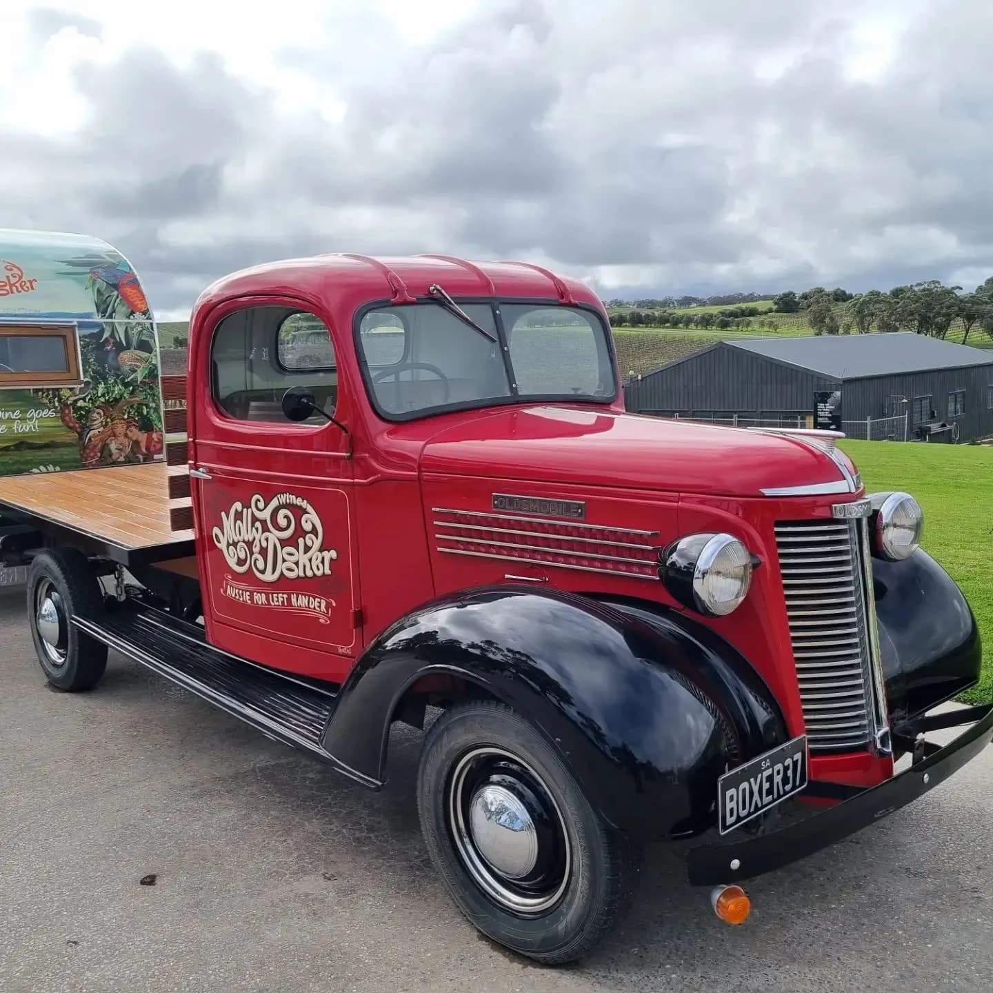 McLaren Vale Wine & Vineyard Tour, Inclusive of Standard Tastings & Platter Lunch