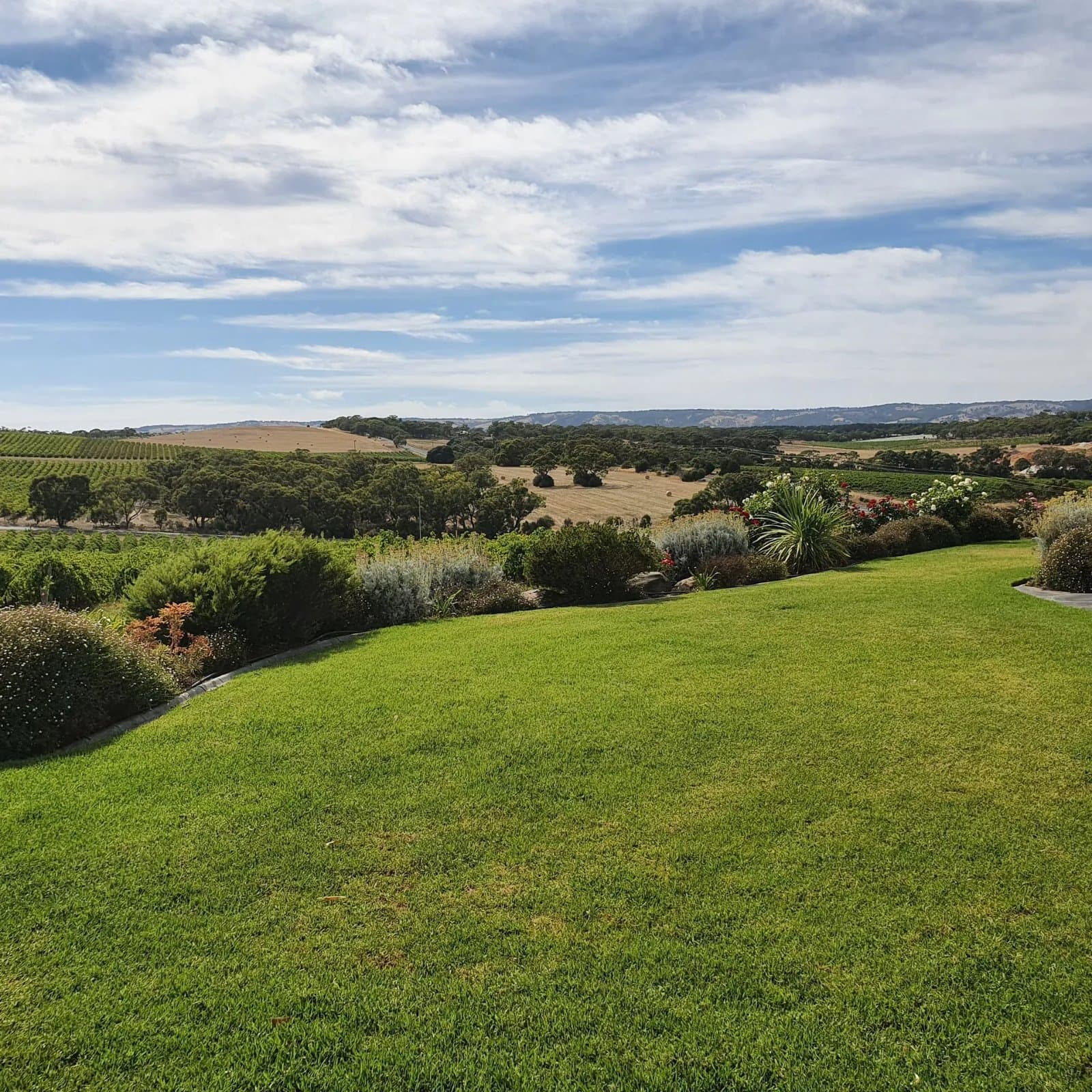 McLaren Vale Wine & Vineyard Tour, Inclusive of Standard Tastings & Platter Lunch 4