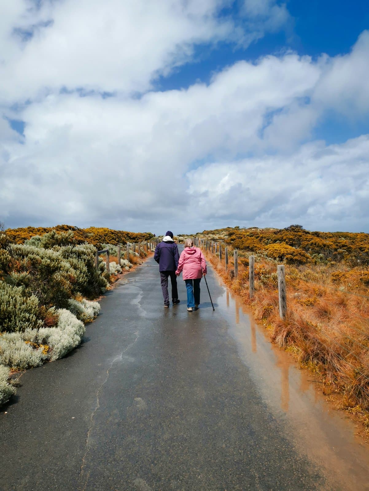 Apollo Bay & Twelve Apostles: Coastal Adventure 2