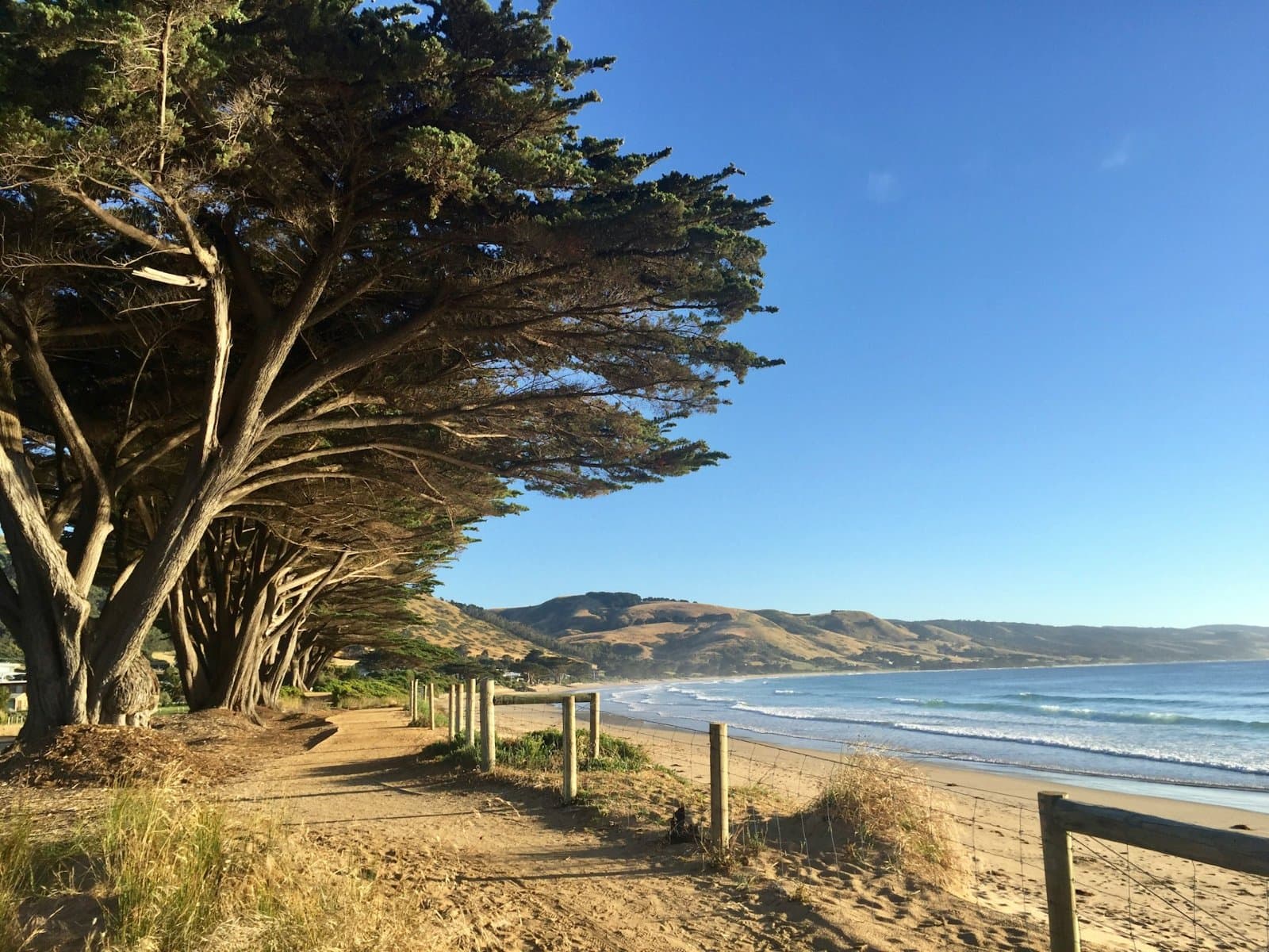 Apollo Bay & Twelve Apostles: Coastal Adventure 4