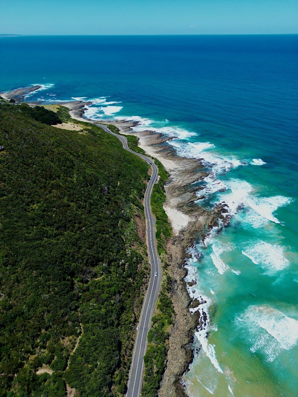 Apollo Bay & Twelve Apostles: Coastal Adventure 5