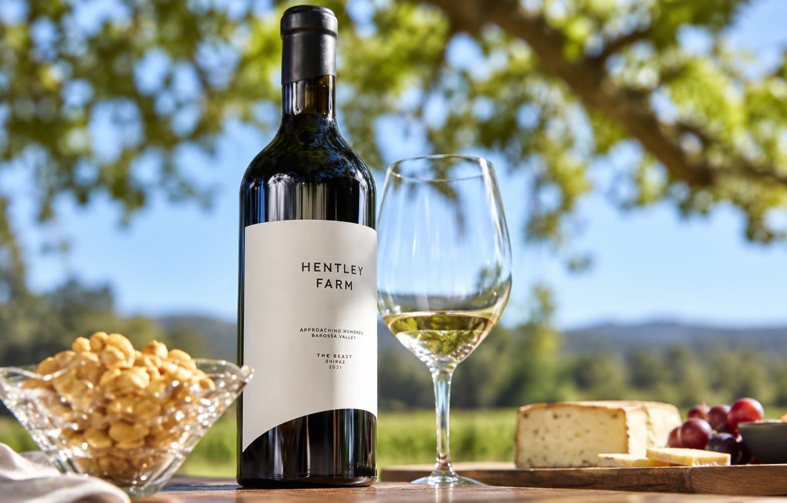 Sip & Savour: A Barossa Degustation Journey