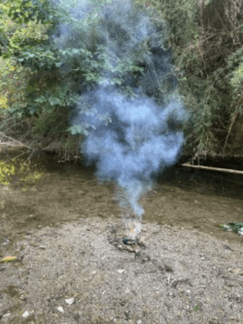 From Cairns Kuku Yalanji Country: Aboriginal Cultural Dreaming Walk & Daintree Rainforest Full Day tour 3