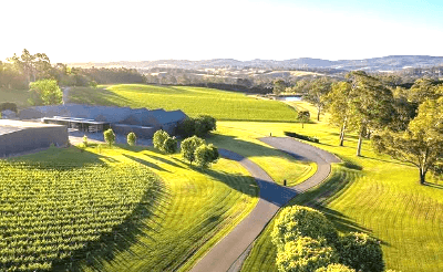 Adelaide Hills Wine & Lunch at Historic Hahndorf 4