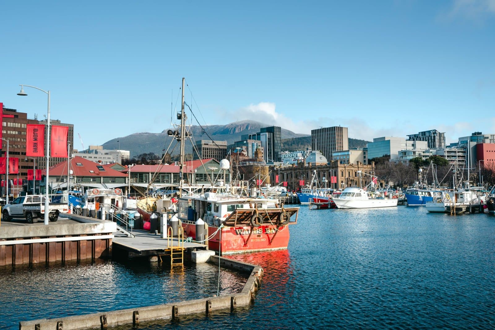Mount Wellington Summit Walk: Hobart's Peak Revealed