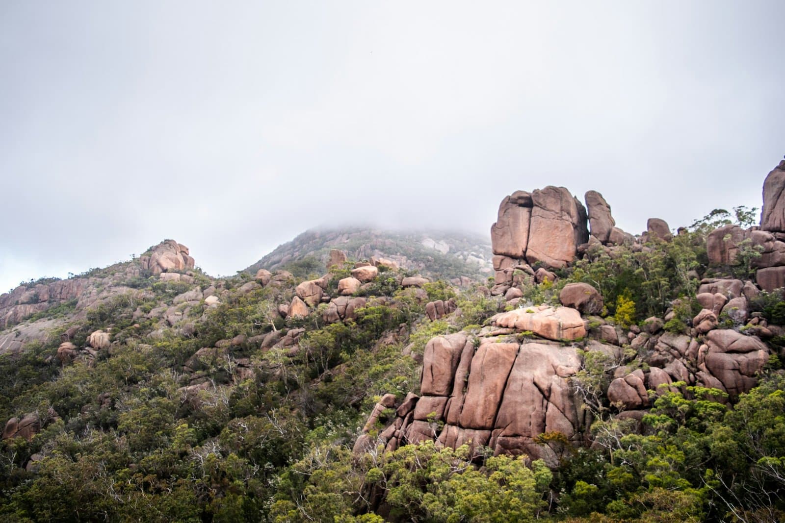 Wineglass Bay: Hobart's Premier Coastal Hike 4