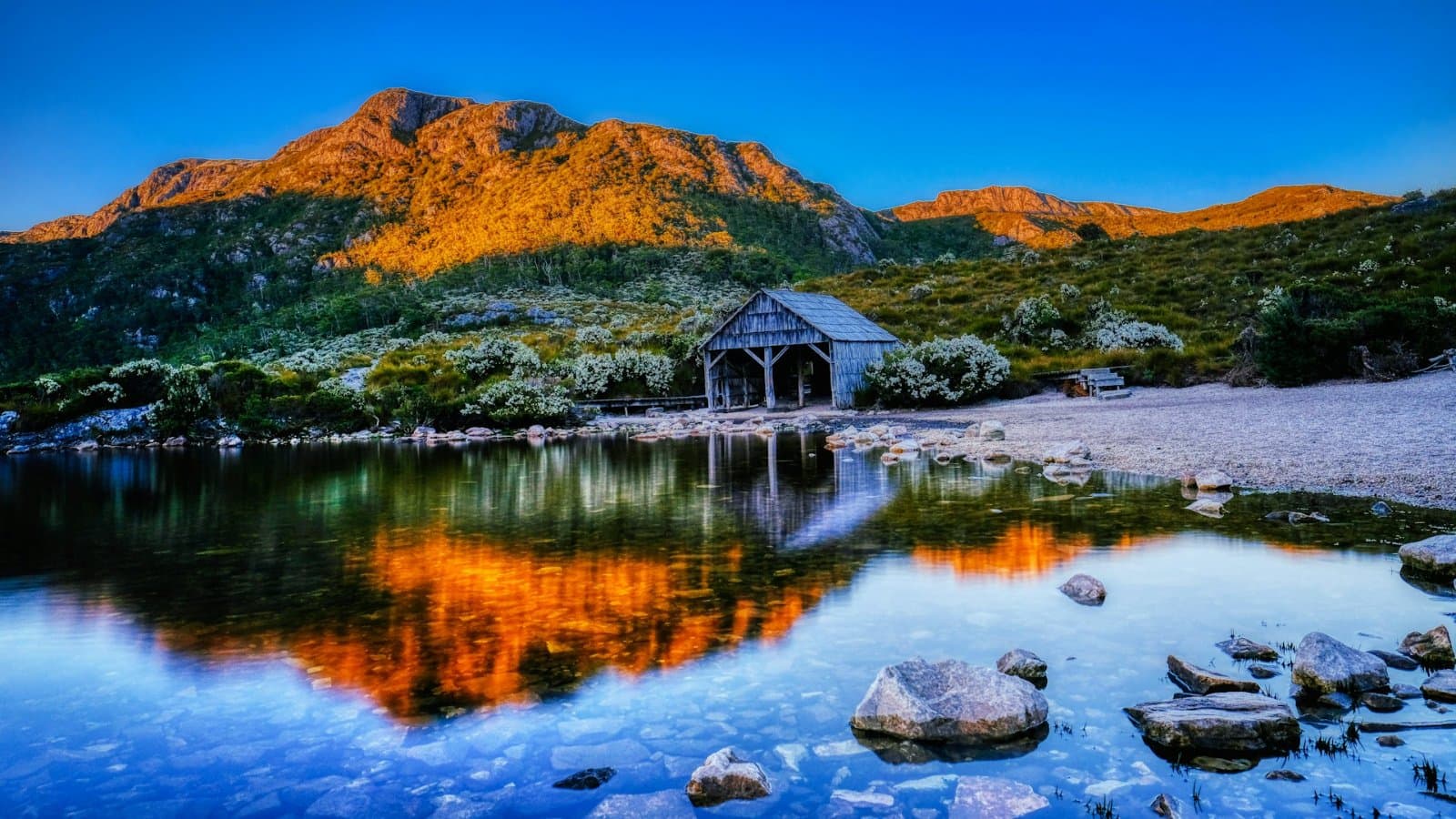 Cradle Mountain Alpine Trek & Lake St Clair