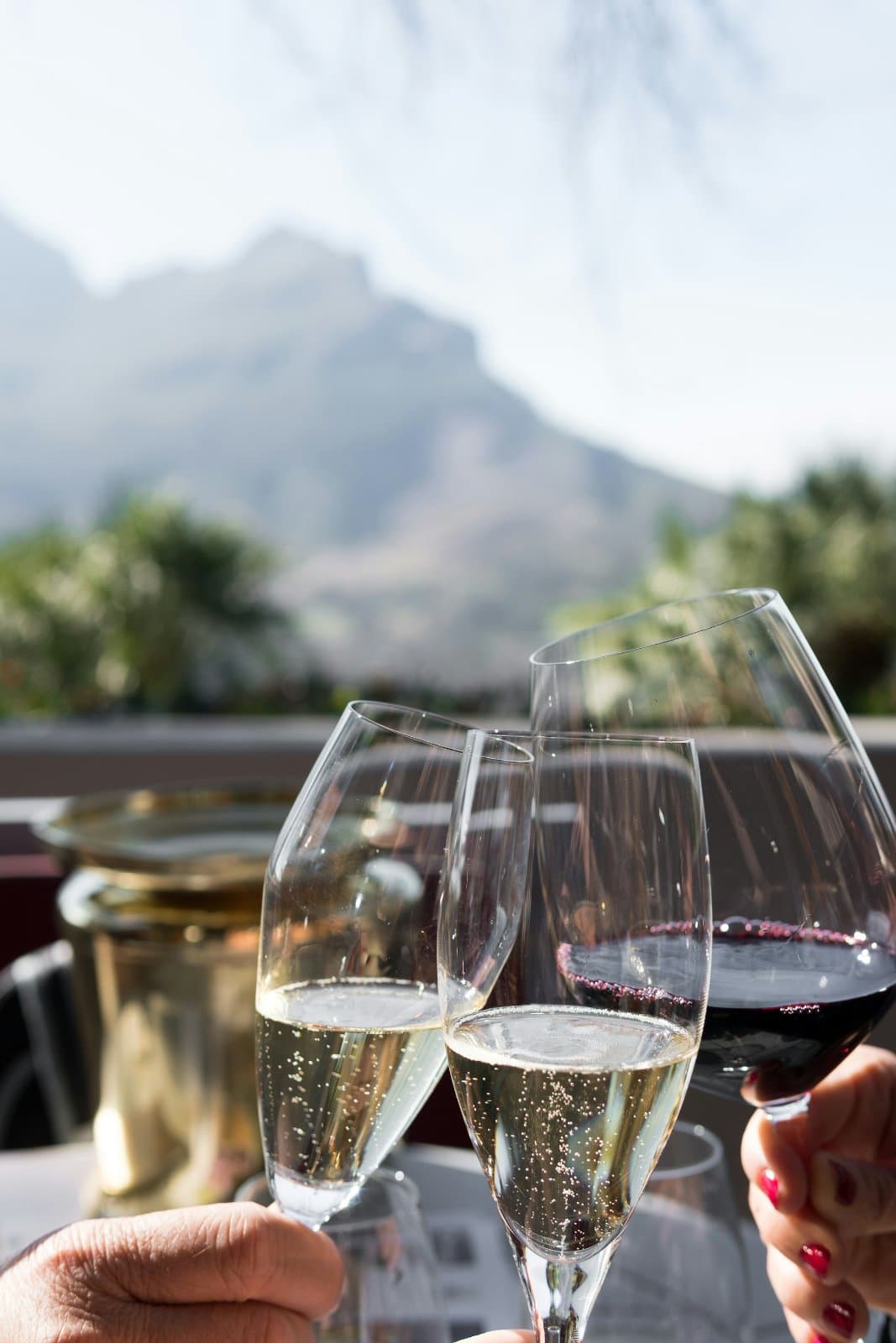 McLaren Vale & Adelaide Hills Wine Adventure 2