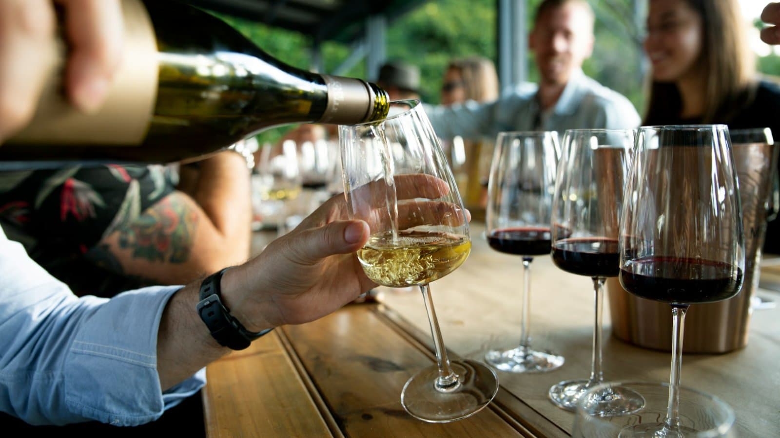 McLaren Vale & Adelaide Hills Wine Adventure 5