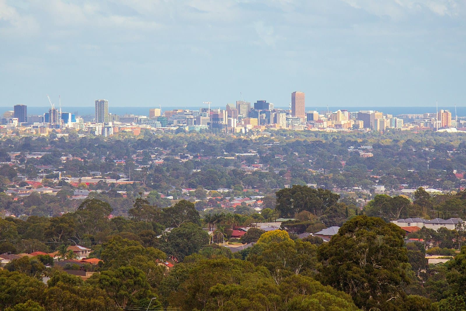 Adelaide's Green Heart: Gardens & Zoo Drive 5